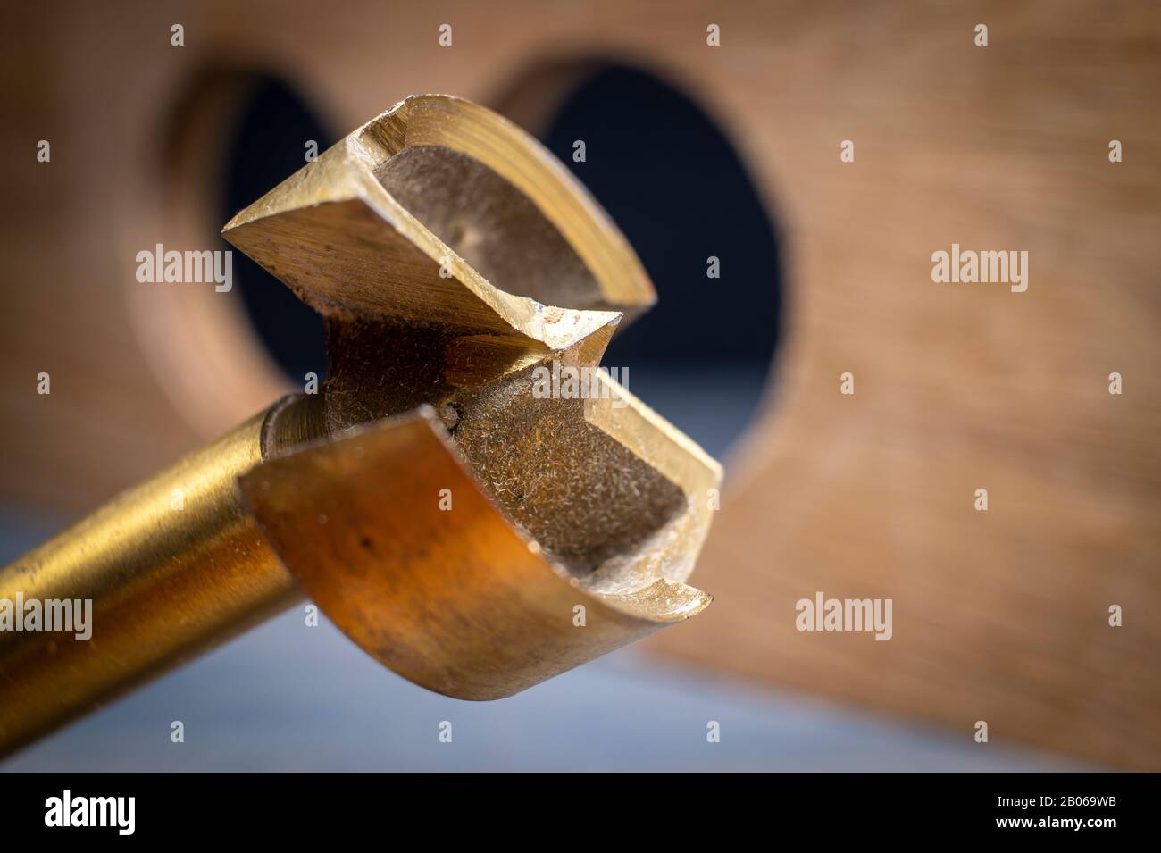 Close up Forstner bit for drilling circular holes on top of wooden