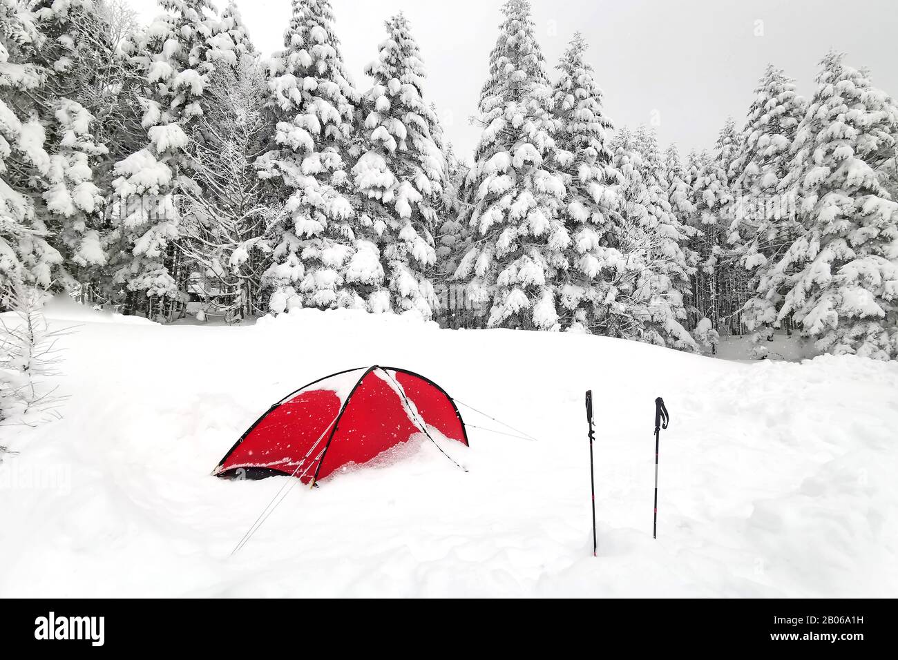 The red tent and hiking sticks, natural snow hill in Japan Yatsugatake mountains Stock Photo
