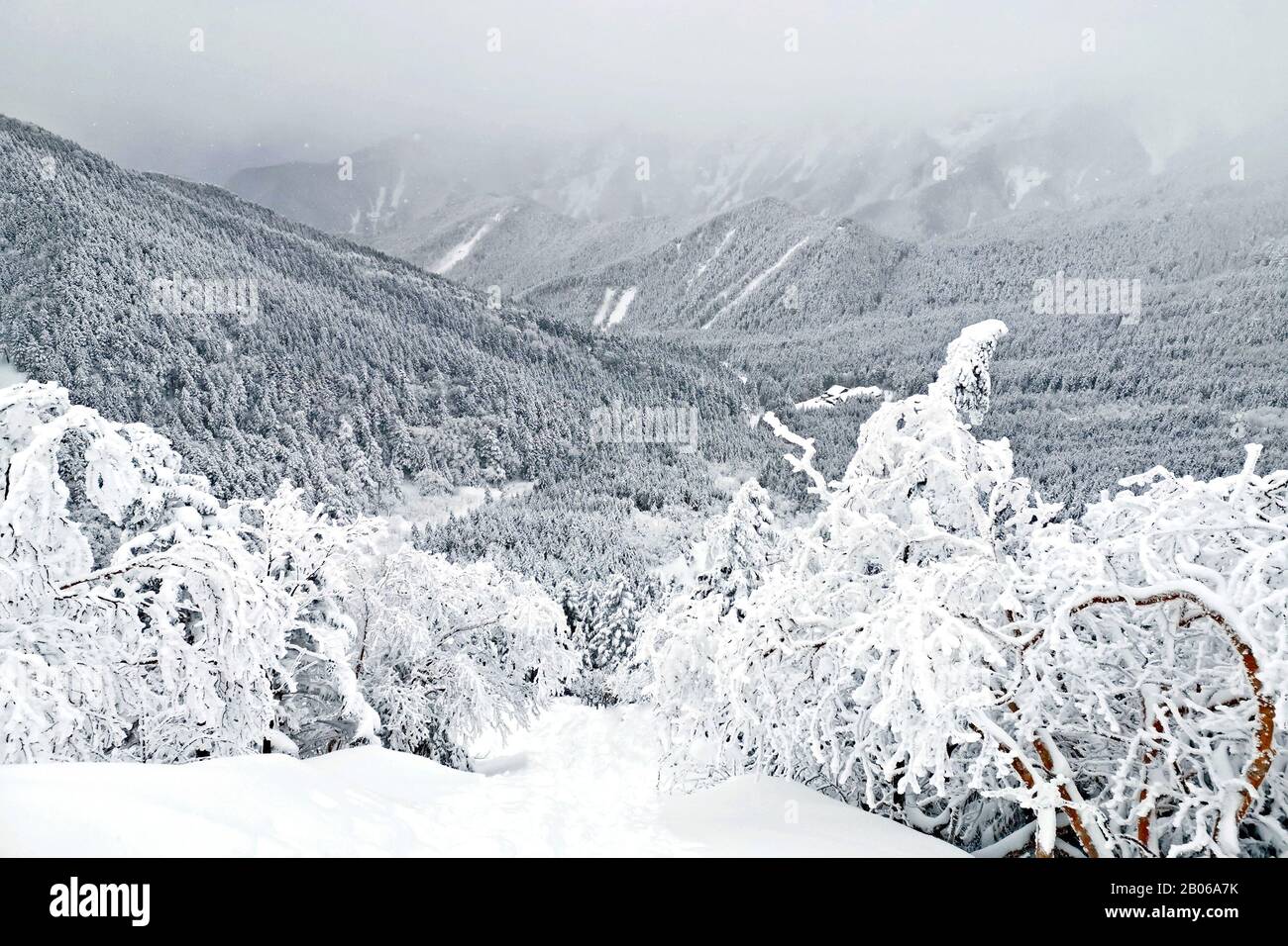 The natural snow hill and tree in Japan Yatsugatake mountains Stock Photo