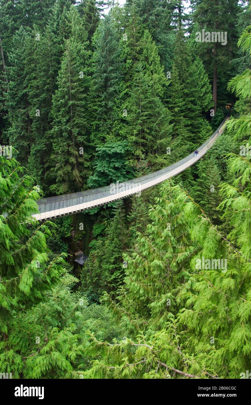 CANADA, BRITISH COLUMBIA, VANCOUVER, CAPILANO SUSPENSION BRIDGE Stock Photo