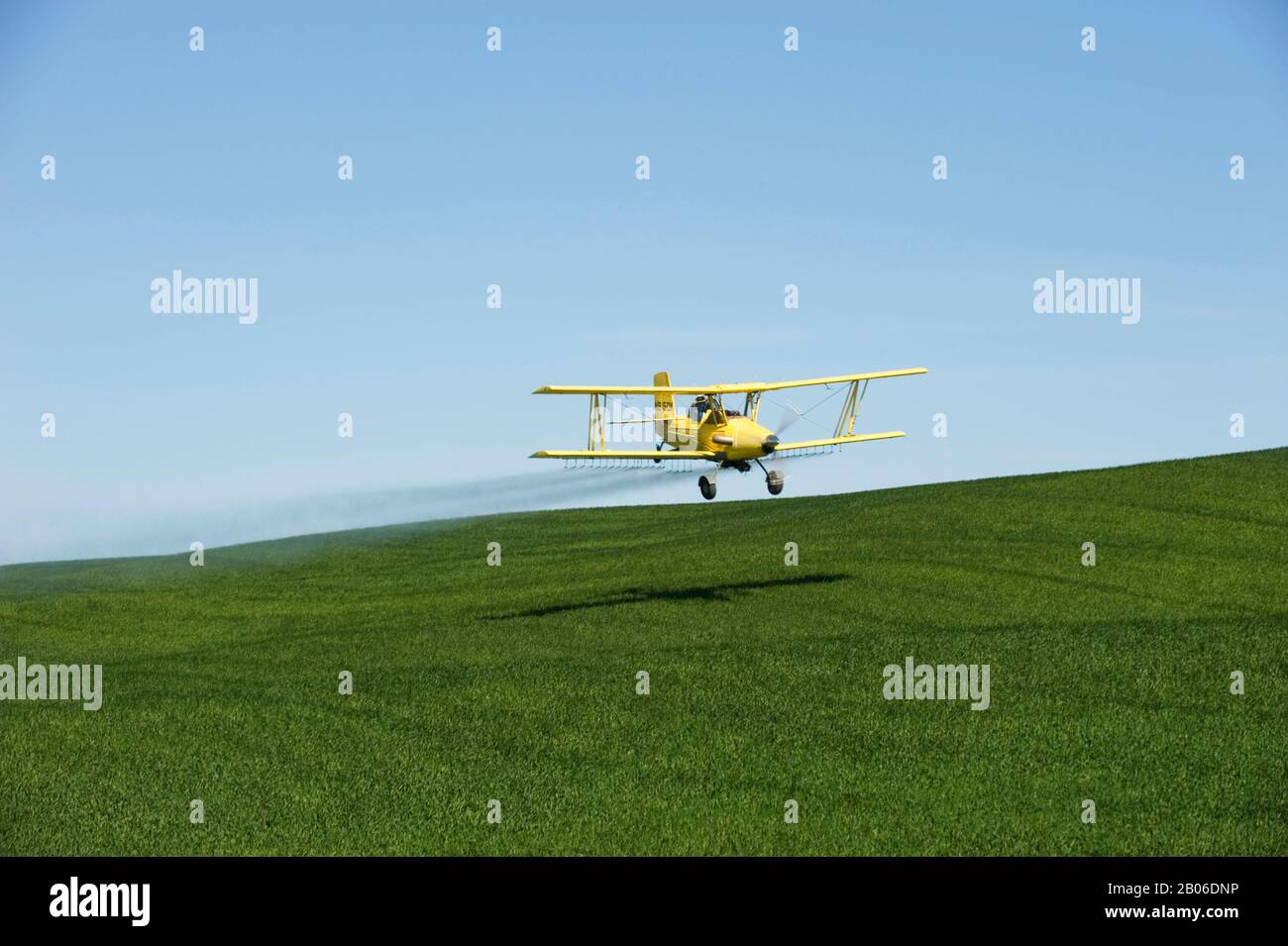 USA, IDAHO, PALOUSE AREA, NEAR MOSCOW, BI-PLANE CROP-DUSTING WHEAT FIELD WITH PESTICIDE Stock Photo