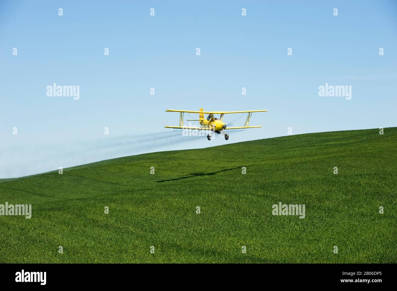 USA, IDAHO, PALOUSE AREA, NEAR MOSCOW, BI-PLANE CROP-DUSTING WHEAT FIELD WITH PESTICIDE Stock Photo