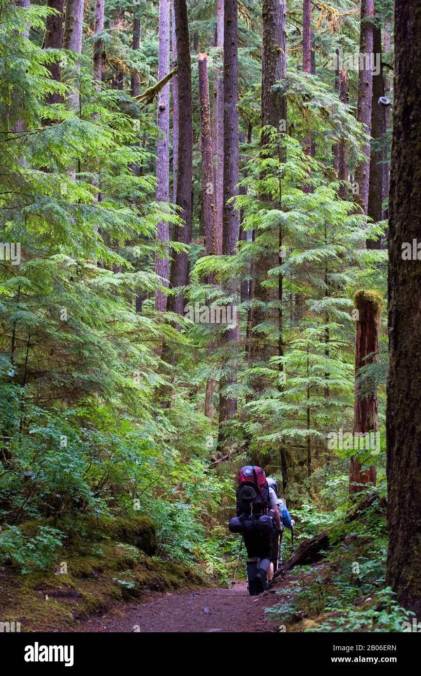 USA, WASHINGTON STATE, OLYMPIC PENINSULA, OLYMPIC NATIONAL PARK, SOL