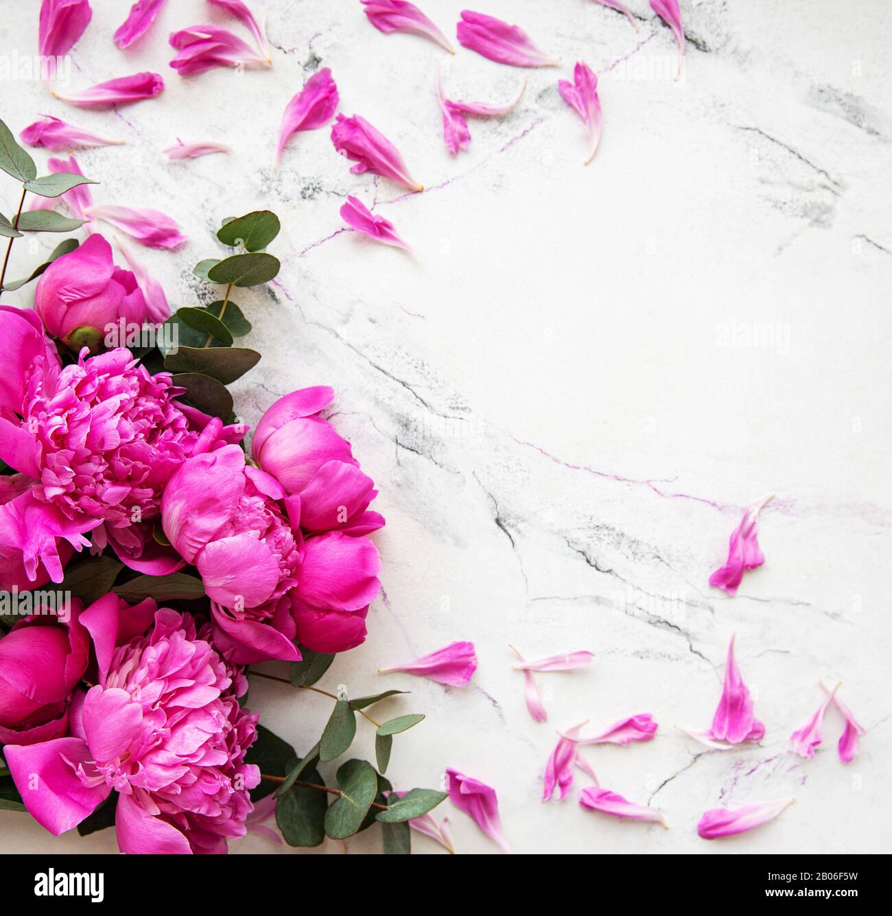 Background with pink peonies on a marble background Stock Photo - Alamy