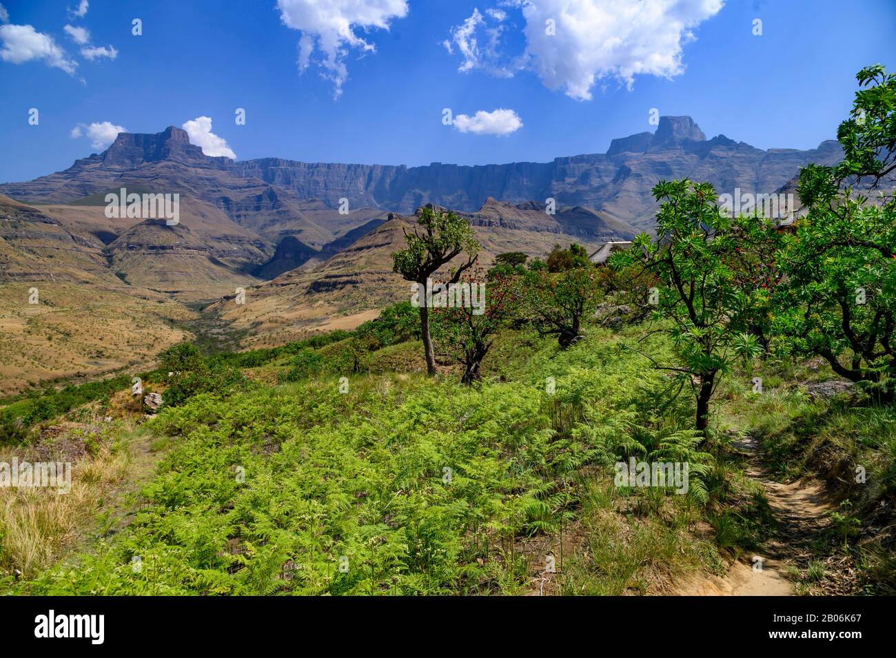 Amphitheatre, Royal Natal National Park, Drakensberg Mountains, KwaZulu ...