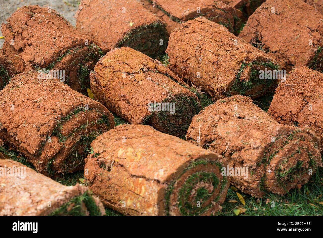 Rows of turf are rolled up, expose soil attached with patches of lawn grasses to be ready for landscaping installation process in the designated area. Stock Photo