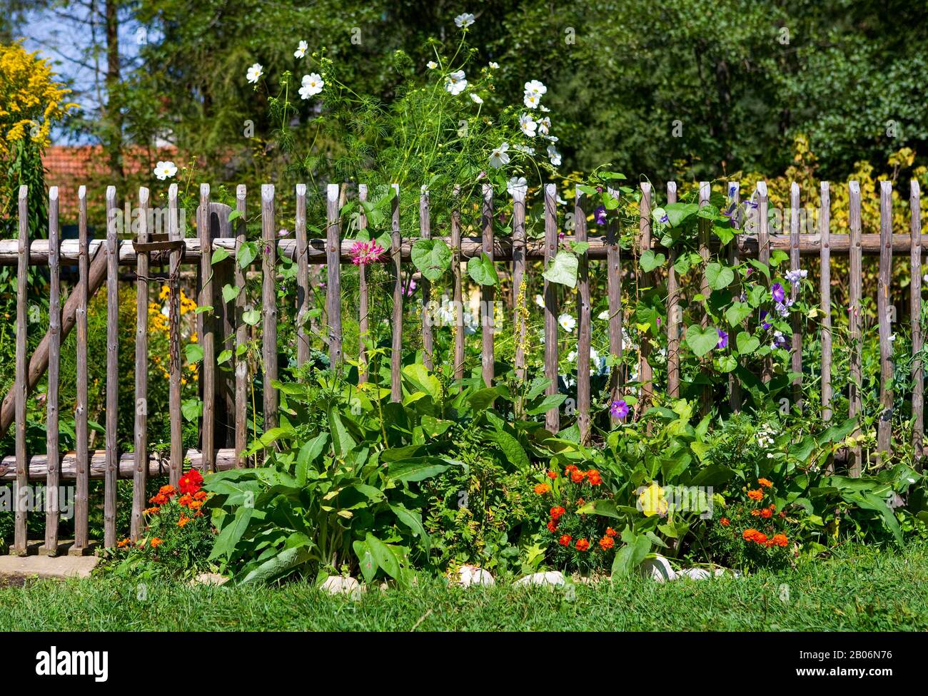 Wooden fence with various blooming flowers hi-res stock photography and ...
