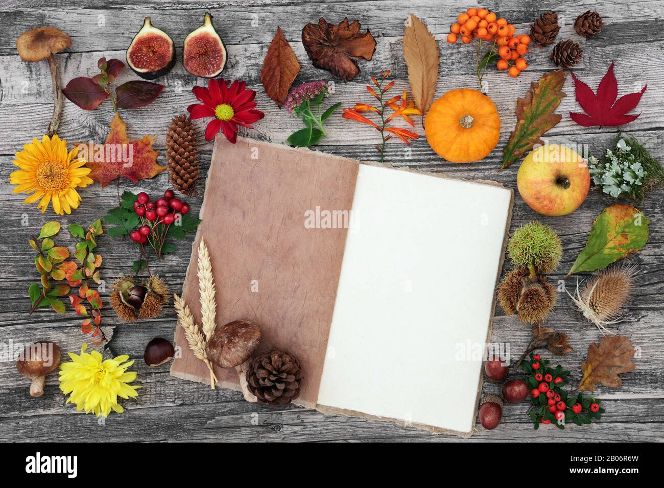 Autumn nature study composition with food, flora and fauna with old hemp notebook  on rustic wood background. Top view. Stock Photo