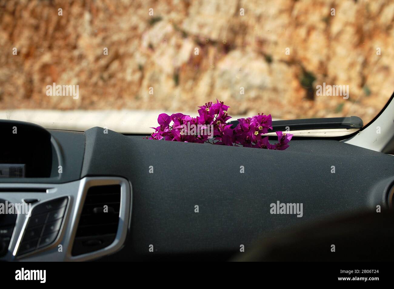 Flower in car Stock Photo Alamy