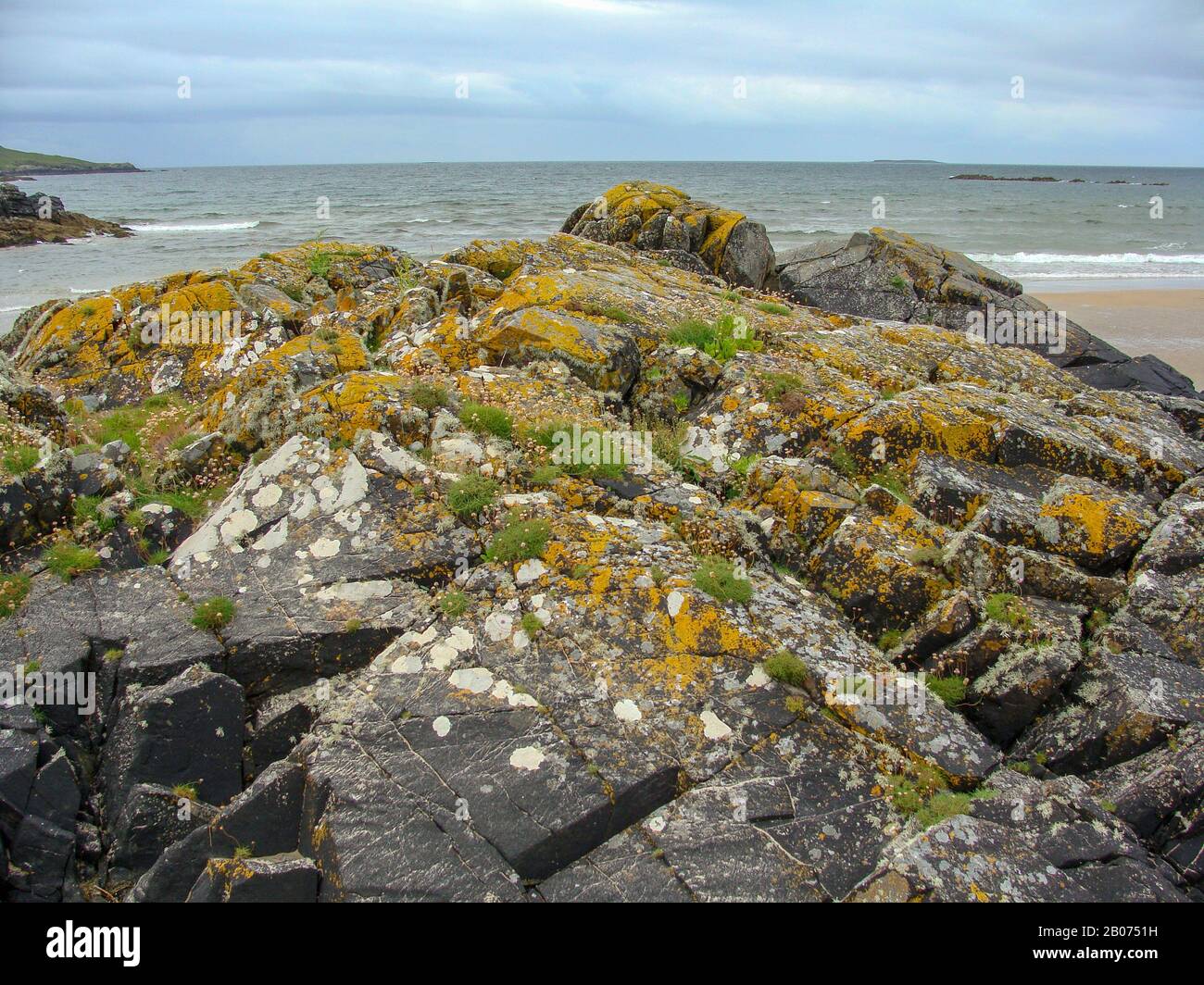Rocks moss seashore hi-res stock photography and images - Alamy