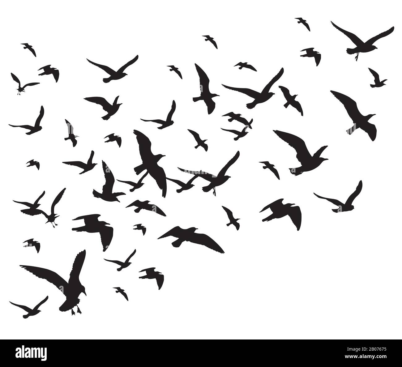 Flying birds flock vector illustration isolated on white background