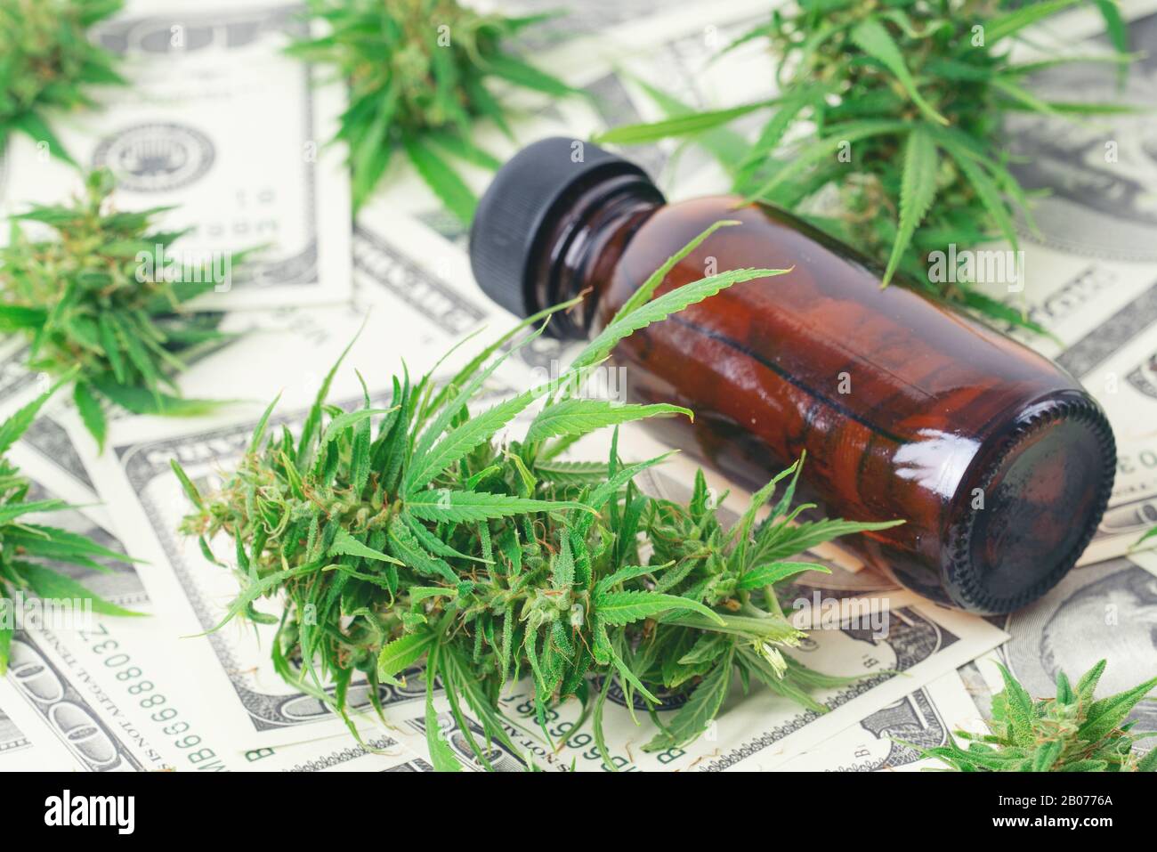 cannabis with cannabidiol (cbd) extract on hundred dollar banknote Stock Photo