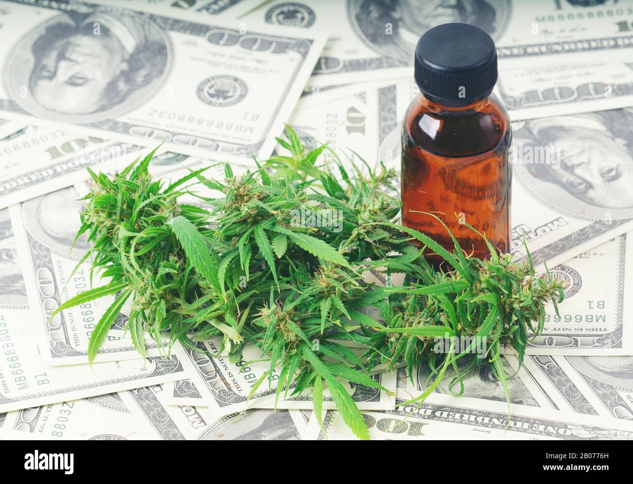 cannabis with cannabidiol (cbd) extract on hundred dollar banknote Stock Photo