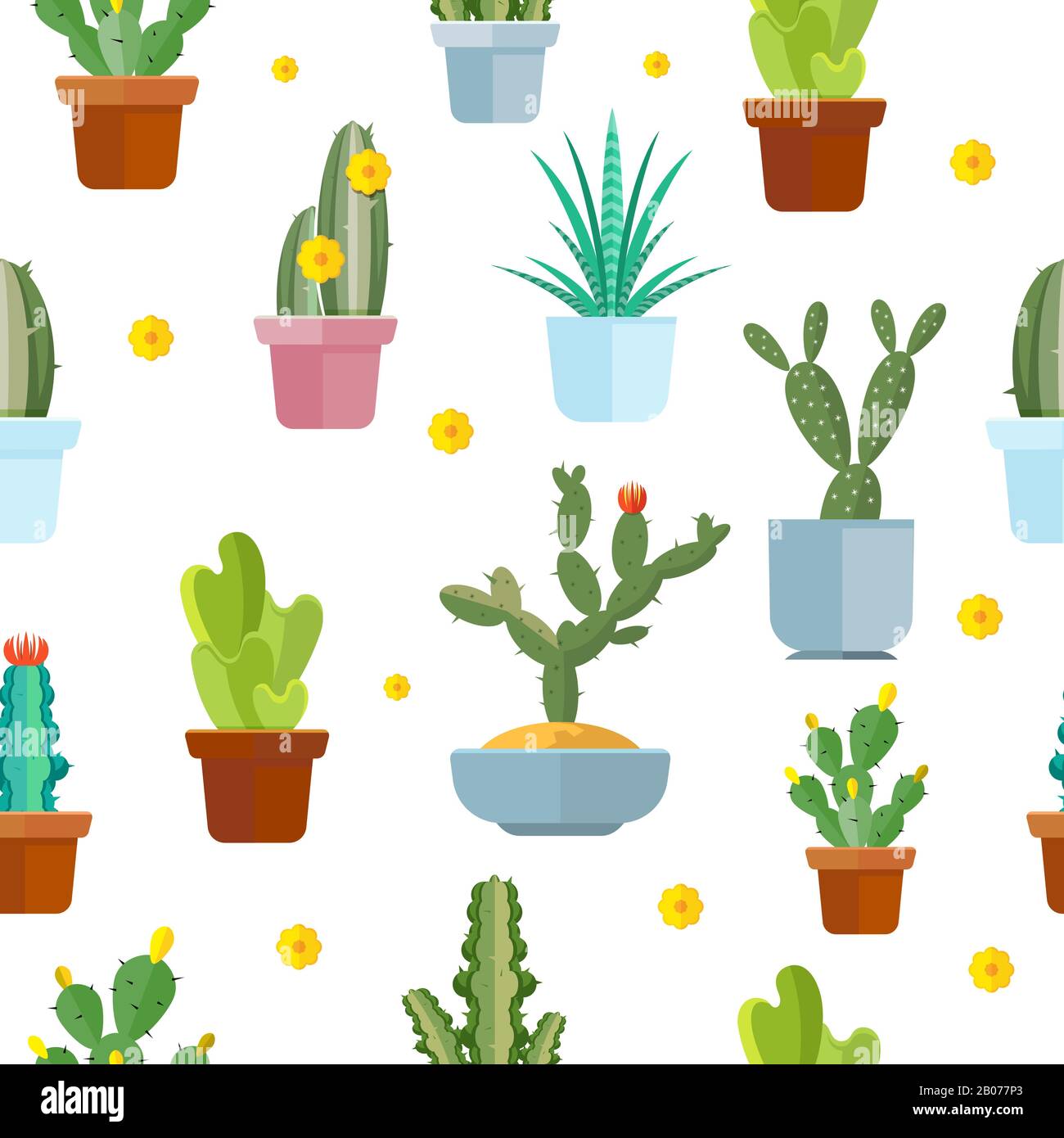 Cactus seamless vector pattern. Blooming cactus on white background ...