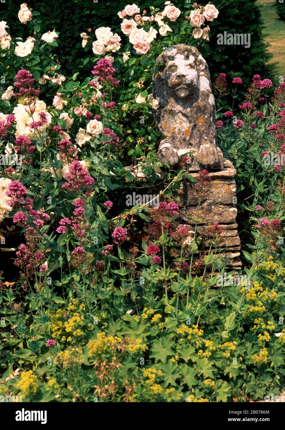 Crouching stone lion with Albertine rose, lady's mantle and valerian Stock Photo