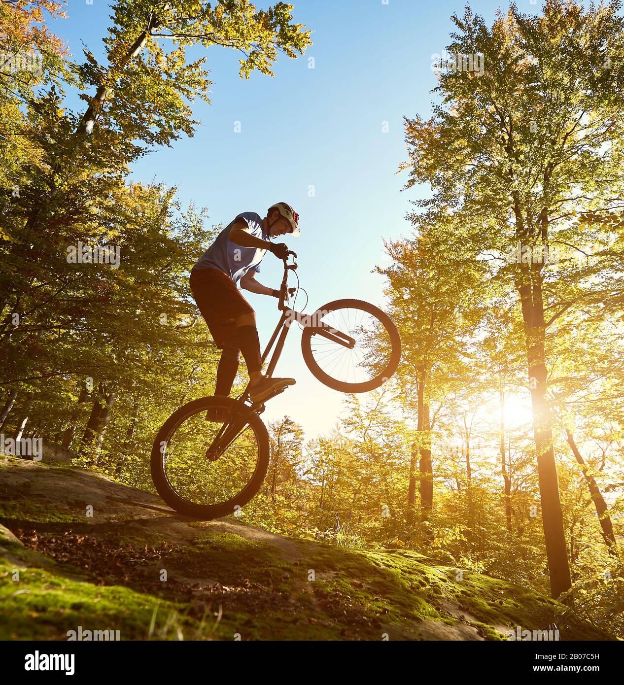 Professional sportsman cyclist balancing on back wheel on trial bicycle, male biker making acrobatic trick on the edge of big boulder in the forest on summer sunny evening Stock Photo