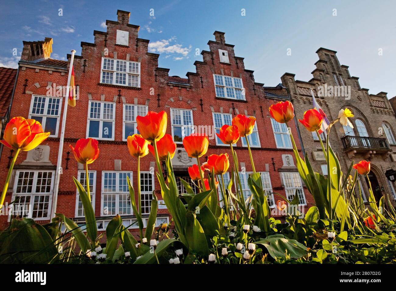 tulips in front of gabled houses, Germany, Schleswig-Holstein, Friedrichstadt Stock Photo