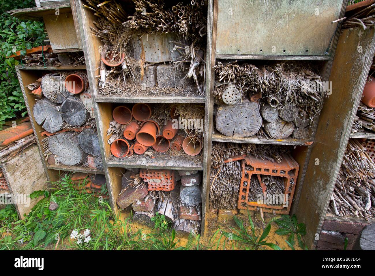 nature education, visitor centre, Belgium, East Flanders, Bourgoyen Stock Photo