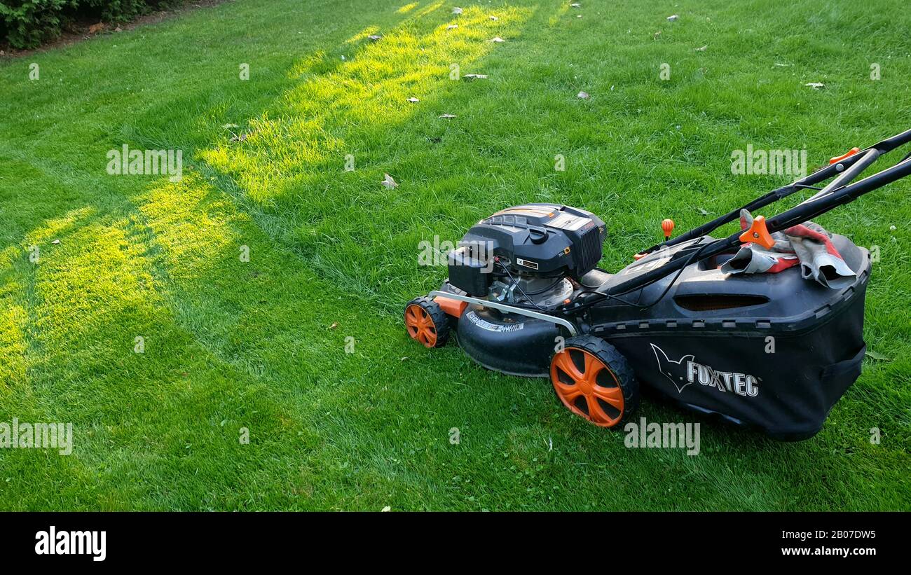 lawnmower on a lawn, side view, Germany Stock Photo
