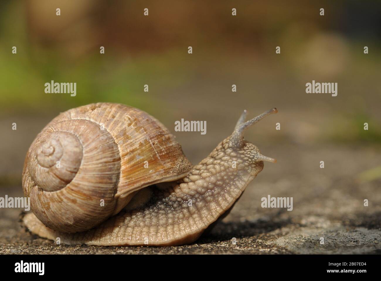 Slowmotion hi-res stock photography and images - Alamy