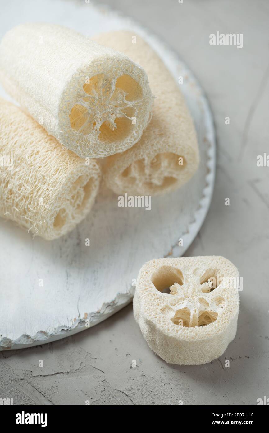 Luffa sponge for zero waste dish washing or bath Stock Photo Alamy