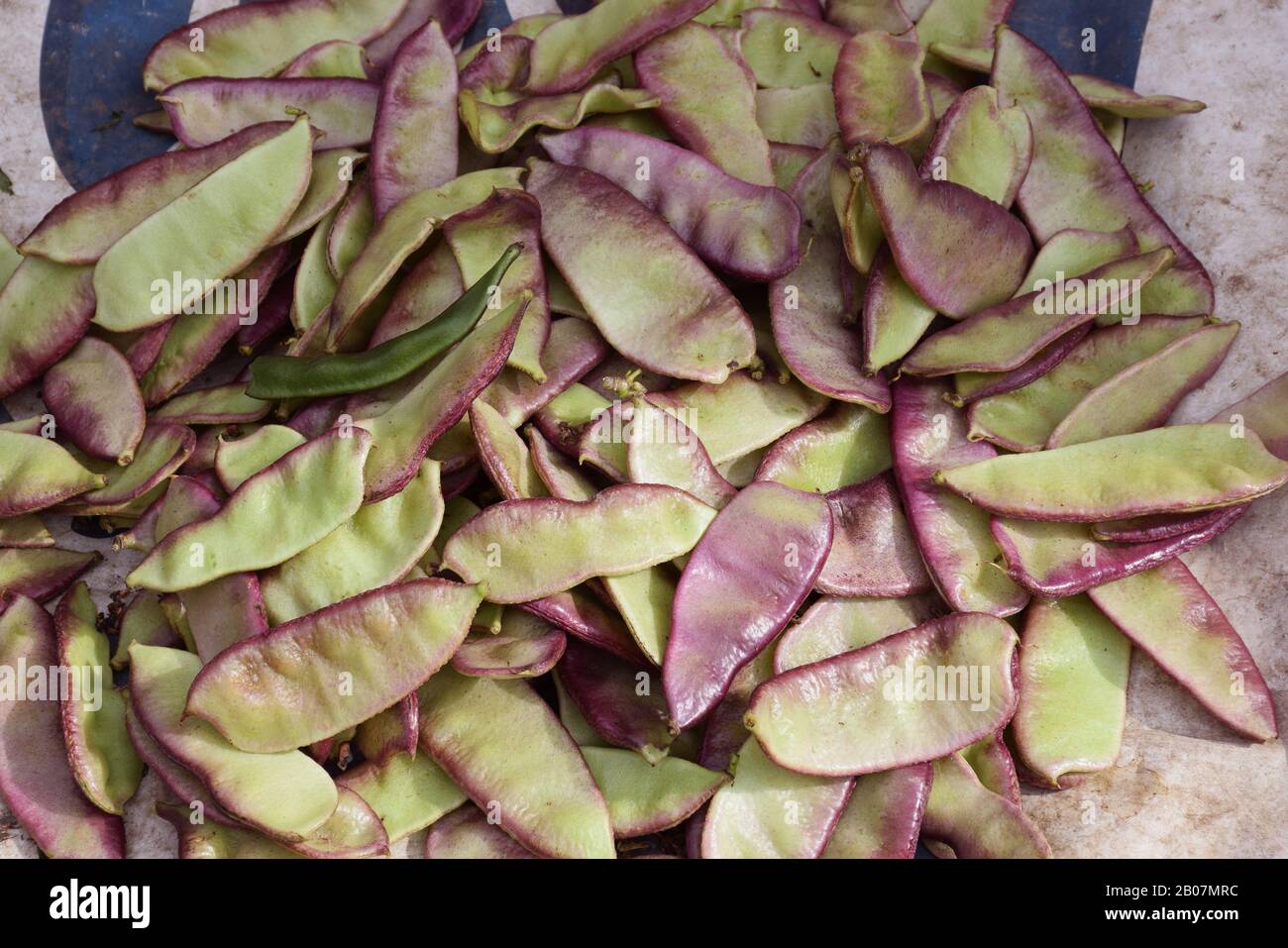 Indian vegetable Sim or Shim for sale in an Indian market Stock Photo
