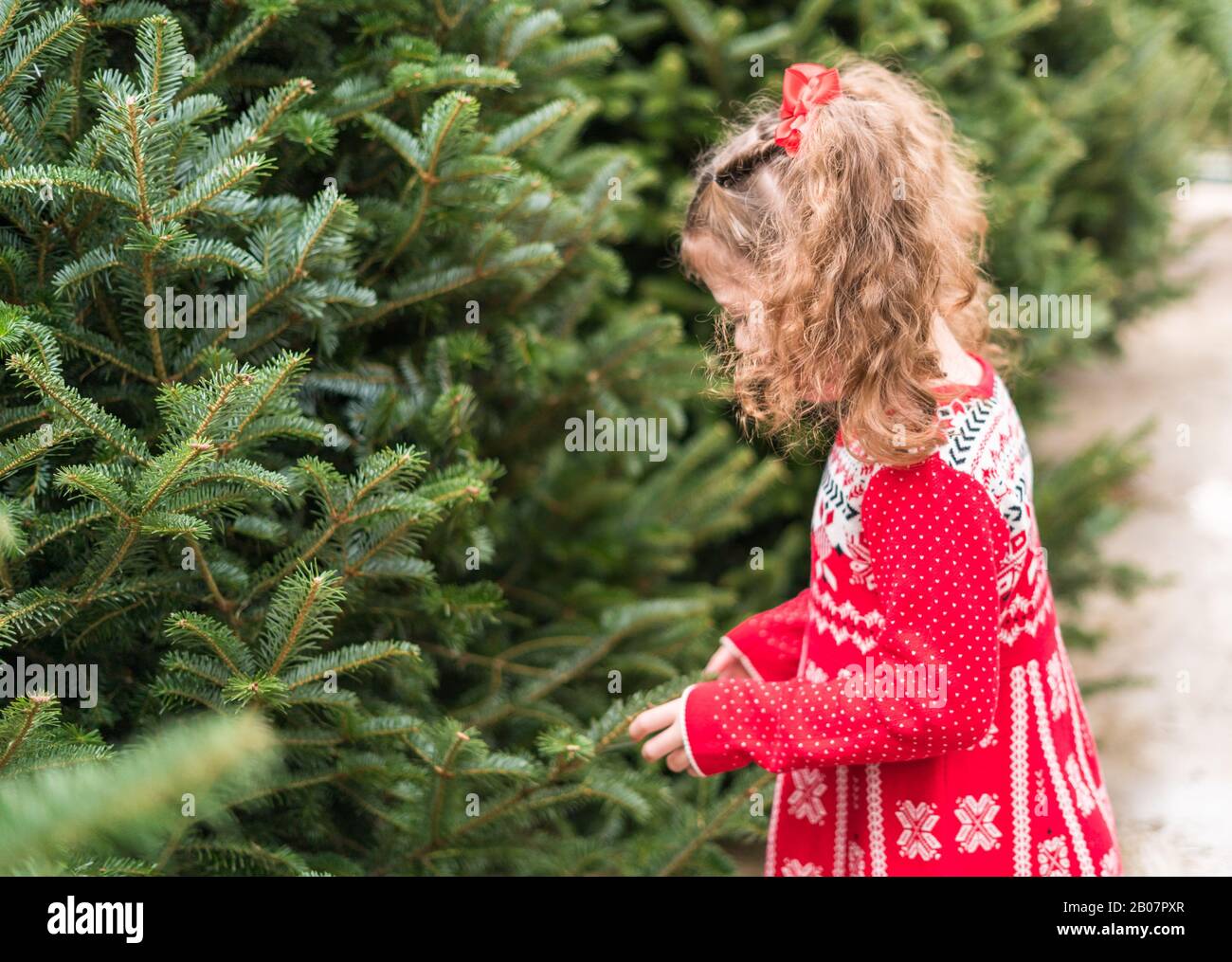 Little girl in red dress at the Christmas tree farm Stock Photo Alamy