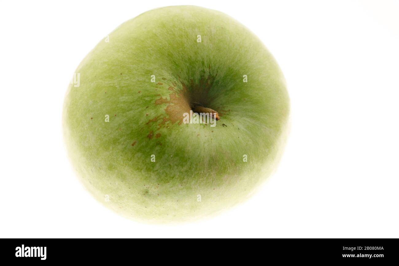 Eclipse Green Apple A green apple. Photo Jeppe Gustafsson Stock Photo - Alamy