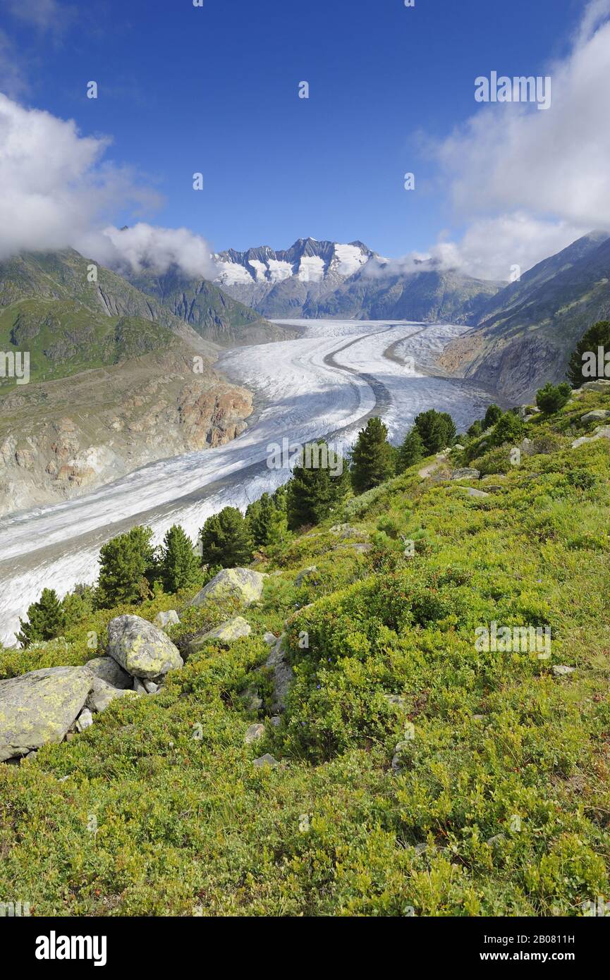 Grosser Aletschgletscher, das Herz des UNESCO Weltnaturerbes Jungfrau