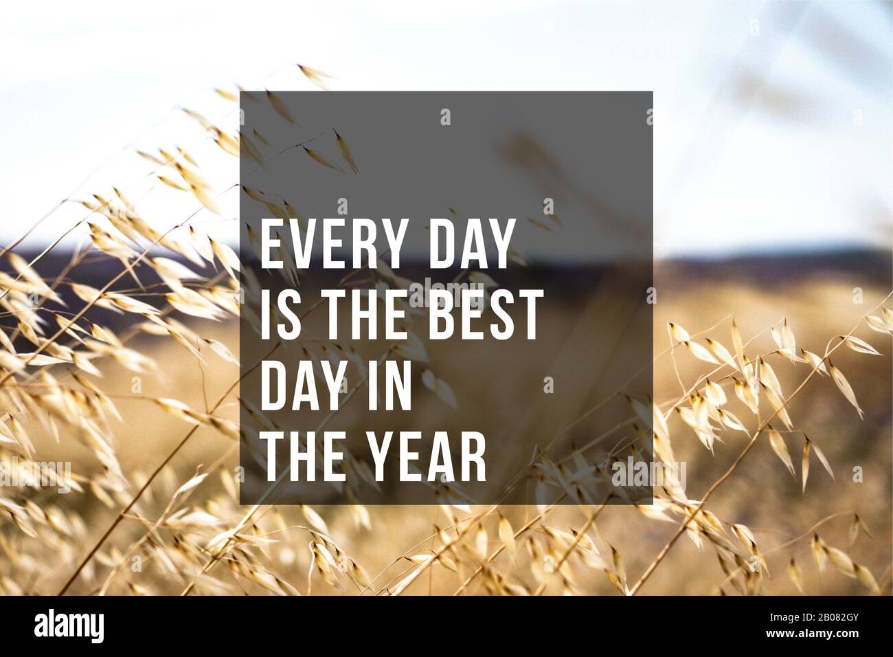 Every day is the best day in the year. Stock Photo