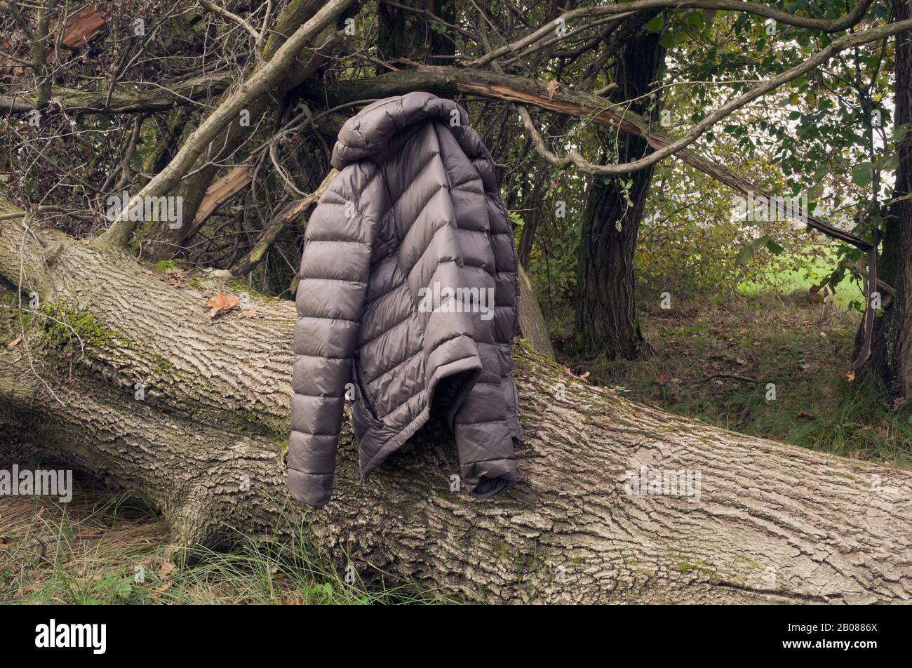 padded jacket hanging on fallen tree branch Stock Photo