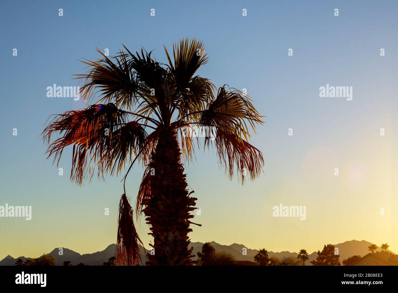 Arizona mesa desert trees hi-res stock photography and images - Alamy