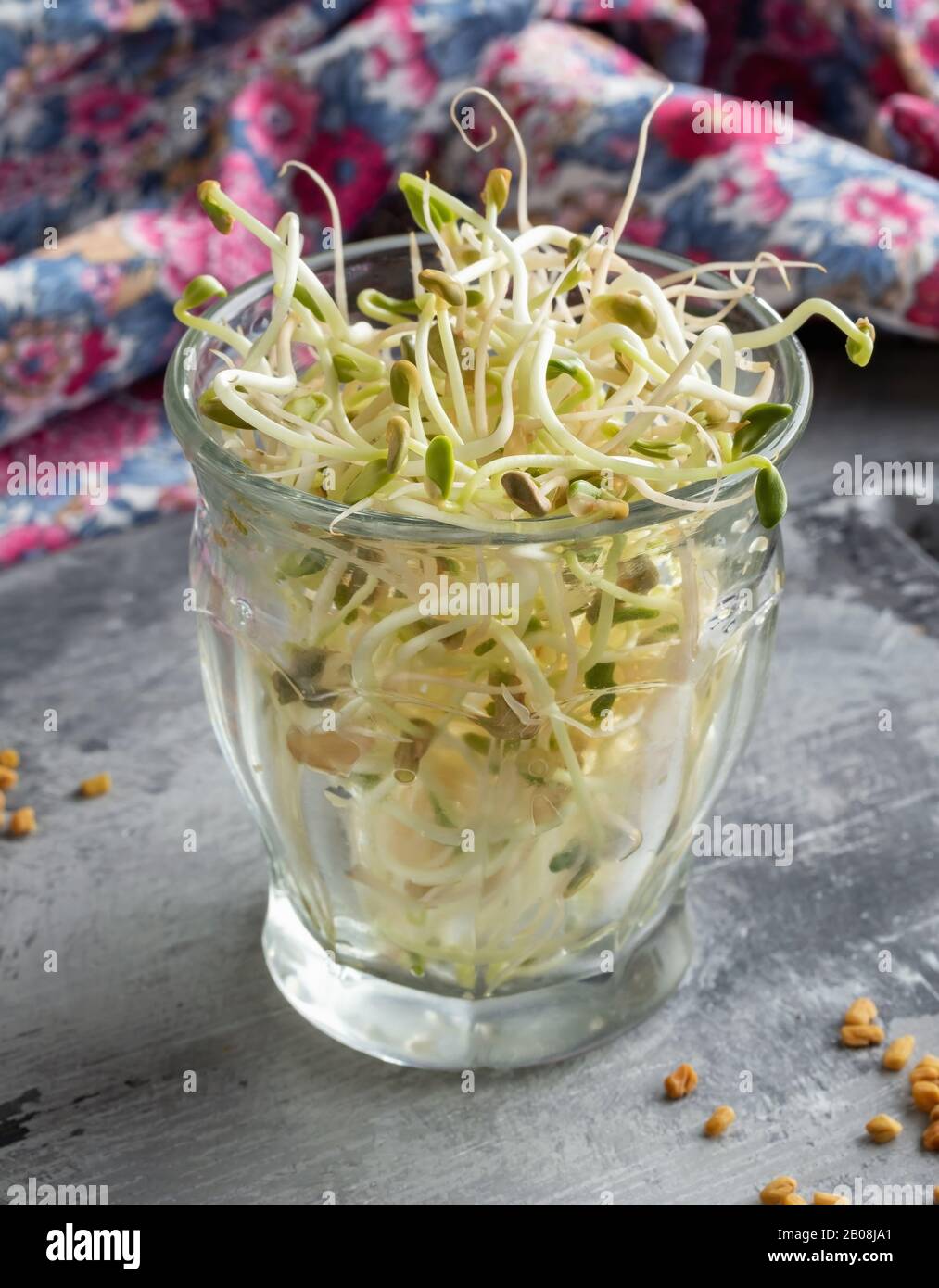 Fresh fenugreek sprouts in a glass, with dry seeds in the foreground Stock Photo