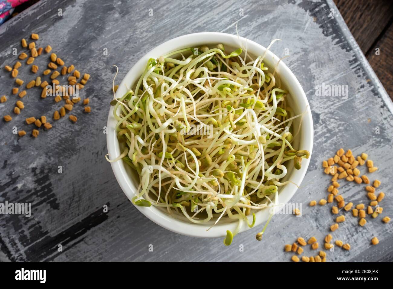 Fresh fenugreek sprouts, with dry seeds in the background Stock Photo