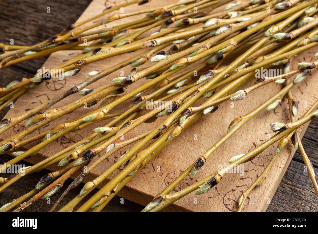 Aspirin plant hires stock photography and images Alamy