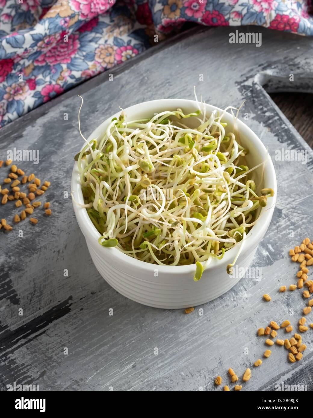Freshly grown fenugreek sprouts with dry seeds in the background Stock Photo