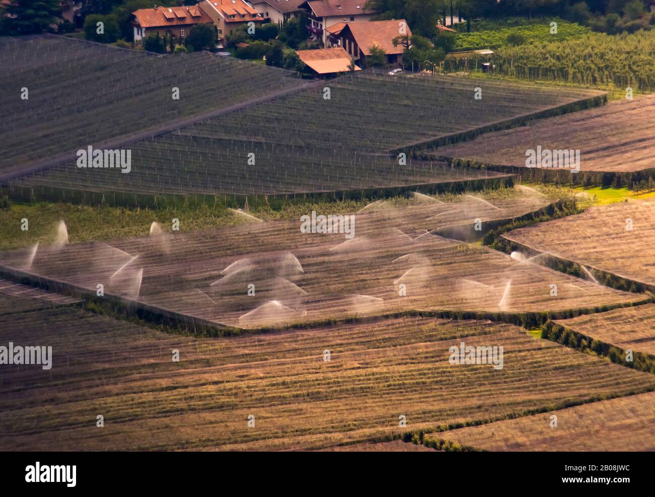 Watered fields near Meran, seen from the distance, from Dorf Tirol. Stock Photo