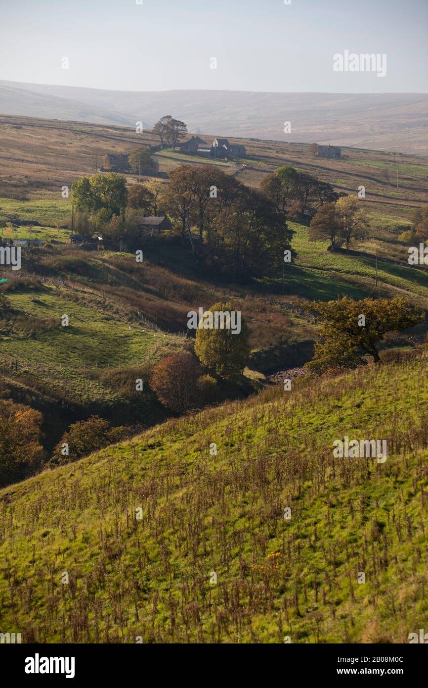 Weardale landscape Co Durham Stock Photo Alamy