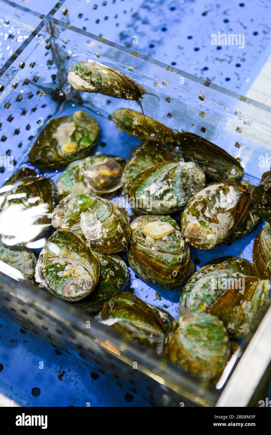 Aquarium products hires stock photography and images Alamy