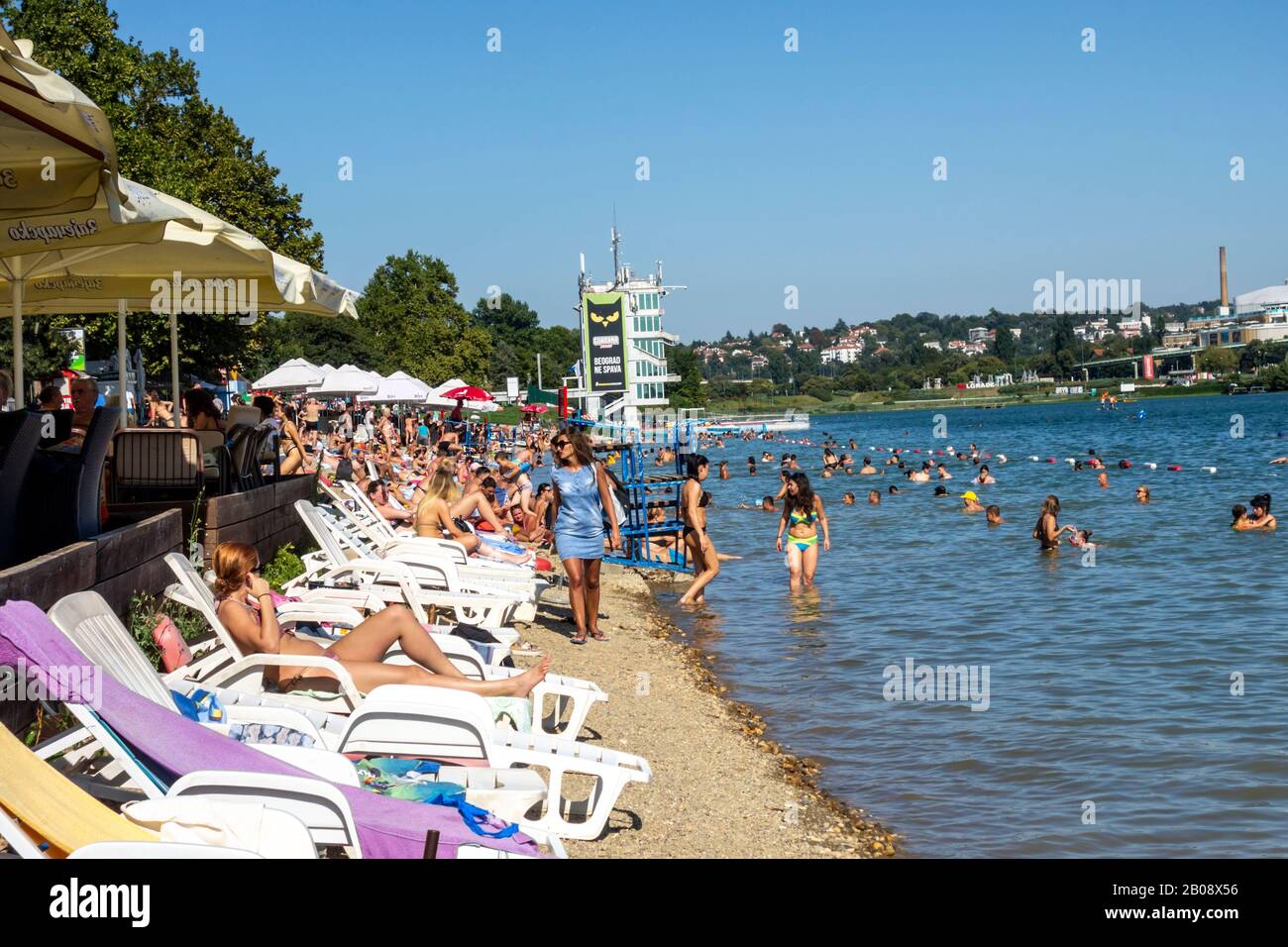 People swimming and sunbathing at Ada Cingalija, the beach of Belgrade, Serbia. Stock Photo