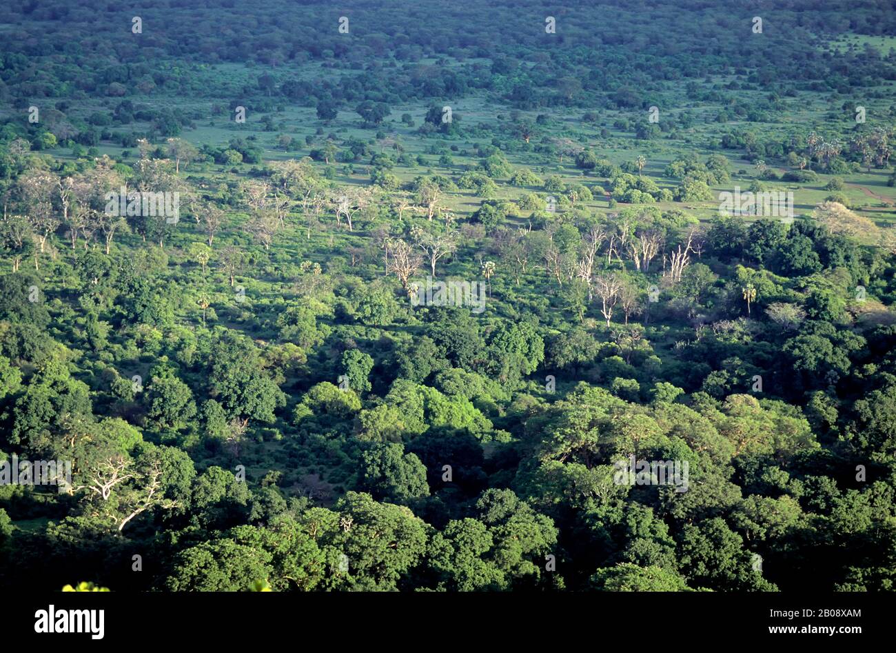 TANZANIA,GREAT RIFT VALLEY LAKE MANYARA NATIONAL PARK OVERVIEW Stock ...