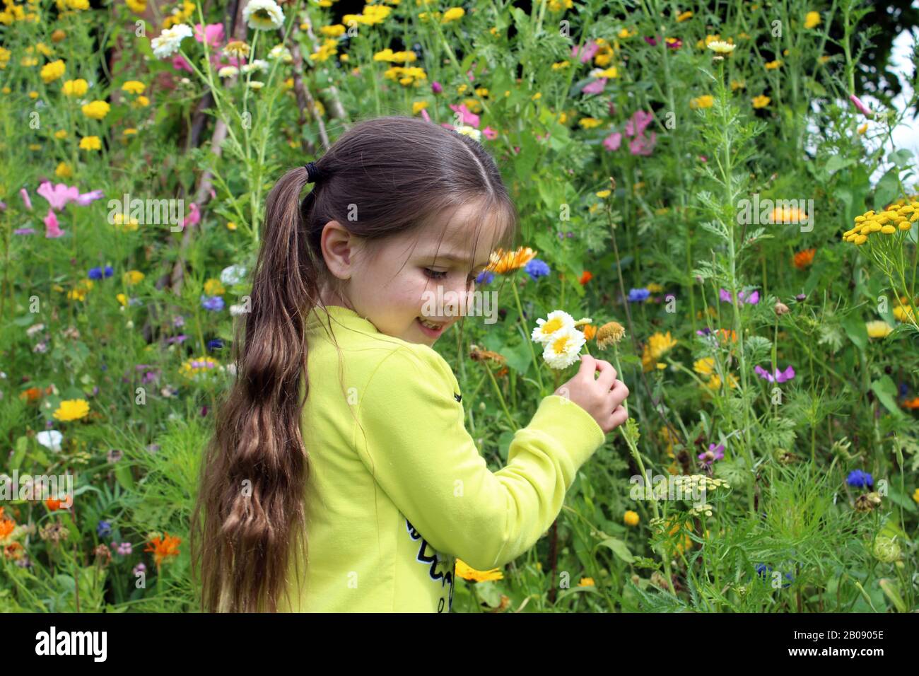 girl smelling flowers Stock Photo - Alamy