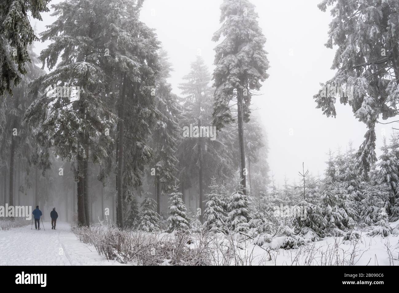 two people walking in a snowy winter forest Stock Photo