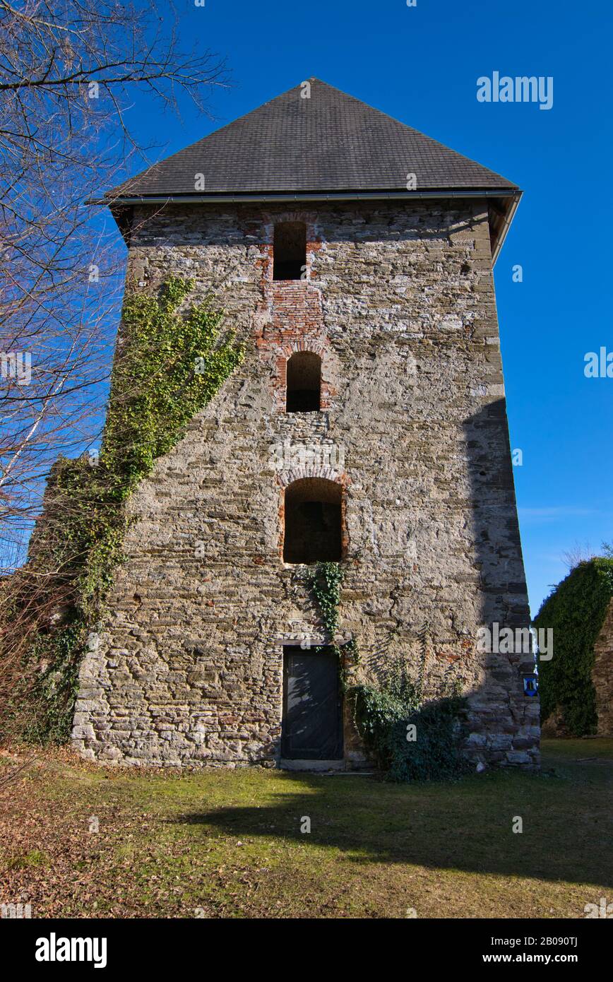 Ivy on ruined building hires stock