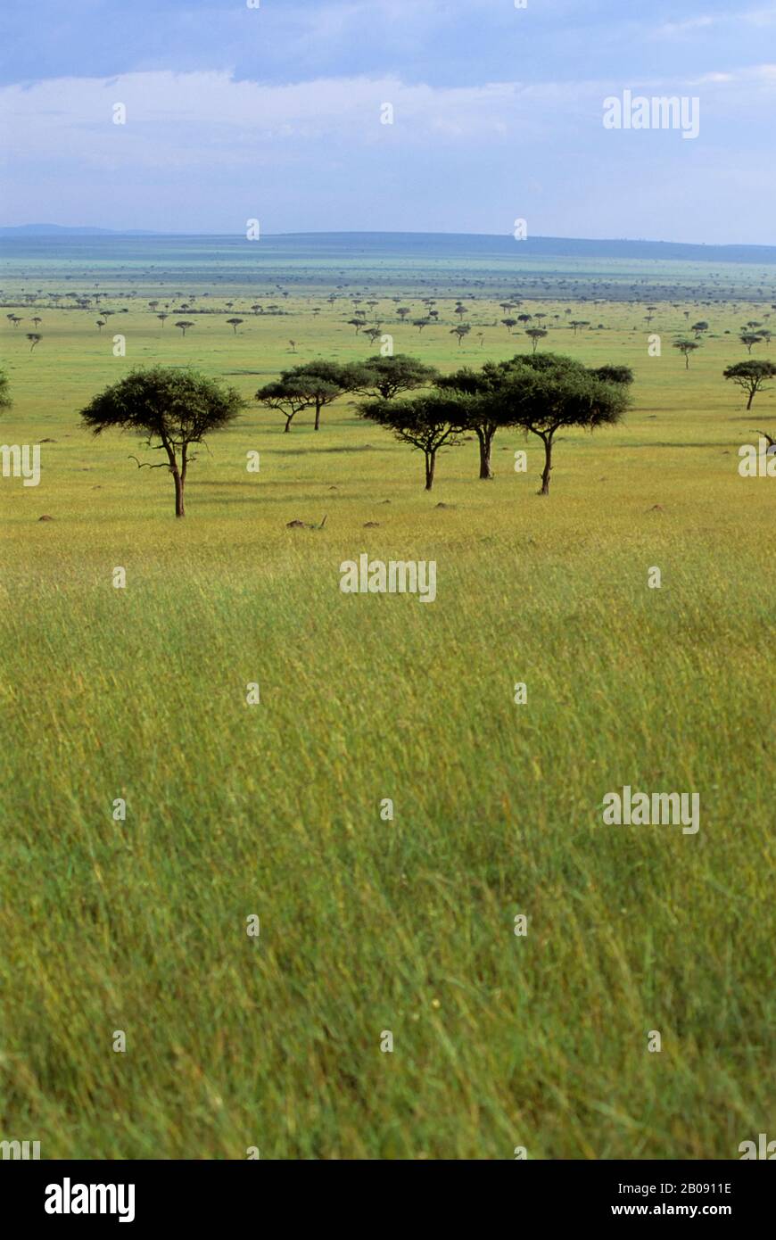 Masai mara landscape hi-res stock photography and images - Alamy