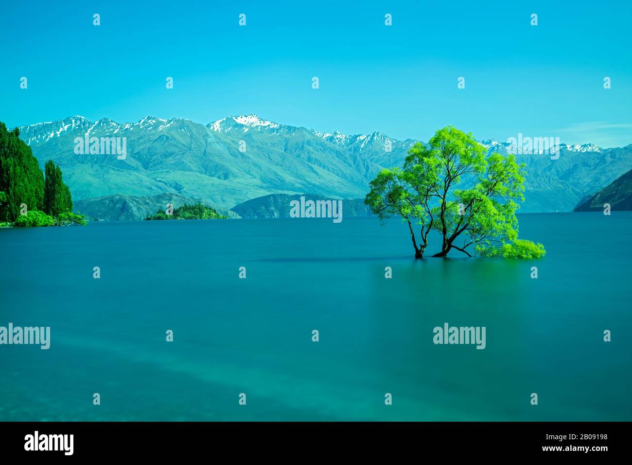view of the famous Wanaka tree, taken with long shutter speed, in Lake Wanaka, South Island, New Zealand 29 November 2019 Stock Photo