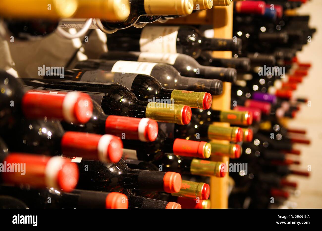 Collection of dusty red wine bottles in a shelf in a row Stock Photo