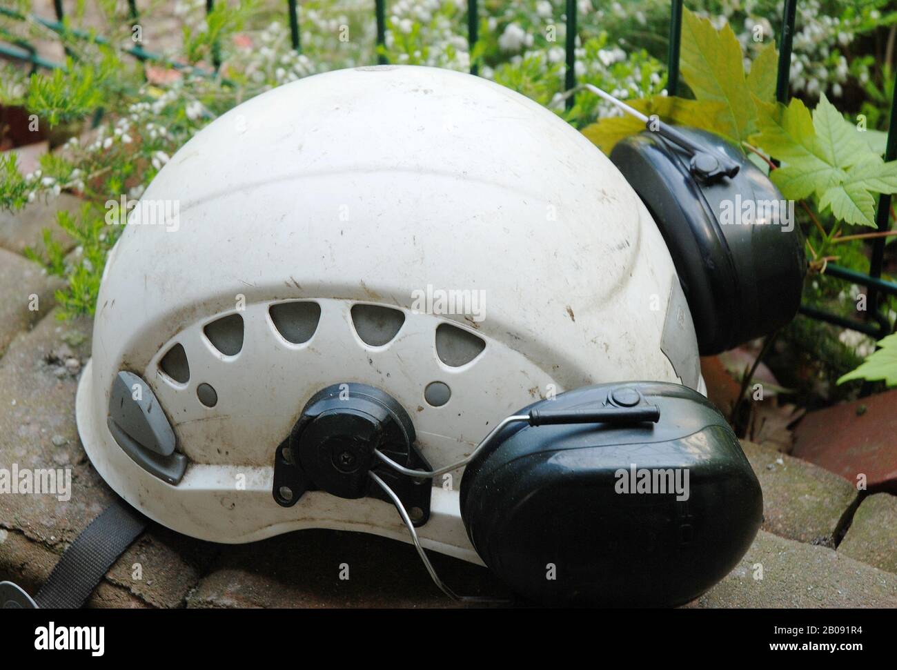 Safety helmet for tree clmber with ear protection Stock Photo Alamy