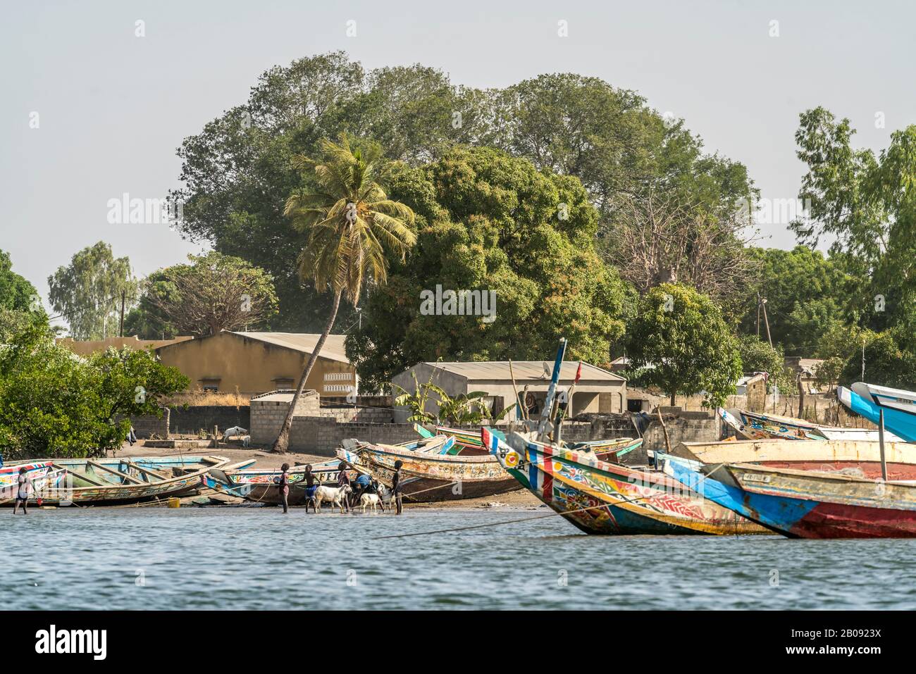 Djinack, Insel Jinack, Sine Saloum Delta, Senegal,  Westafrika  |  Djinack, Jinack Island,  Sine Saloum Delta, Senegal, West Africa, Stock Photo
