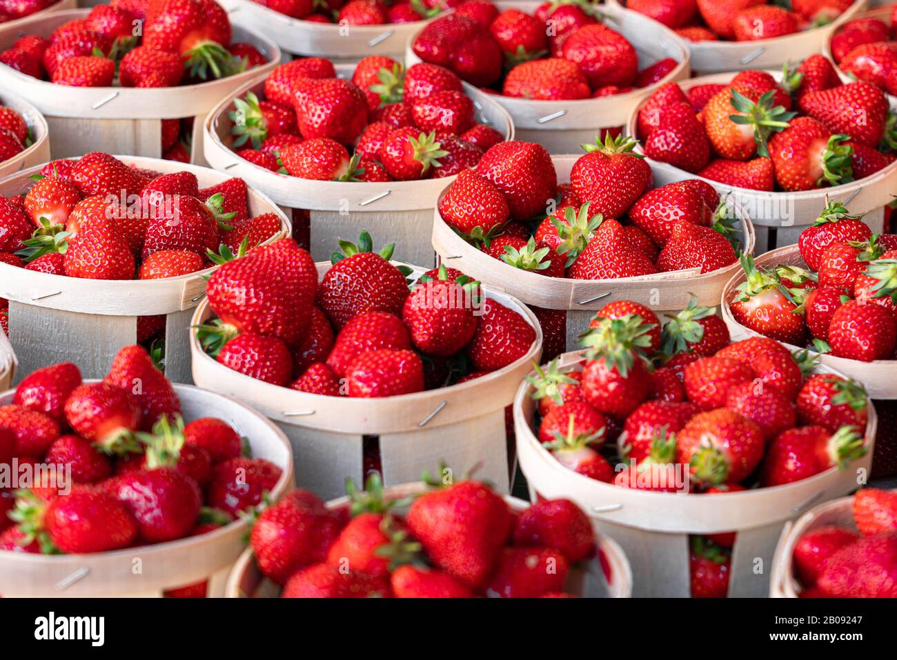 Strawberries background agriculture hi-res stock photography and images ...